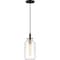 Quoizel Teagan Mini Pendant 1 Light Earth Black TGN1506EK - alternate 4